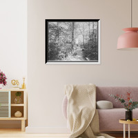 Historic Framed Print, [Profile House, wildwood path, White Mts., N.H.],  17-7/8" x 21-7/8"