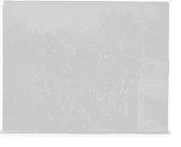 Historic Framed Print, [Hibiscus blossoms, West Palm Beach, Fla.],  17-7/8" x 21-7/8"