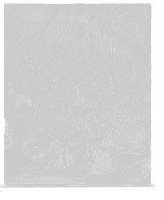 Historic Framed Print, [Hibiscus, city park, West Palm Beach, Fla.],  17-7/8" x 21-7/8"