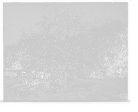 Historic Framed Print, [Grape fruit tree, Palm Beach, Fla.],  17-7/8" x 21-7/8"