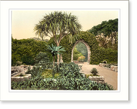 Historic Framed Print, Scilly Isles Tresco Abbey old arches Cornwall England,  17-7/8" x 21-7/8"
