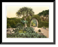 Historic Framed Print, Scilly Isles Tresco Abbey old arches Cornwall England,  17-7/8" x 21-7/8"