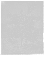 Historic Framed Print, [Grape fruit, Palm Beach, Fla.],  17-7/8" x 21-7/8"