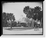 Historic Landscape - Palm Beach, Florida - S.W. view, Royal Poinciana