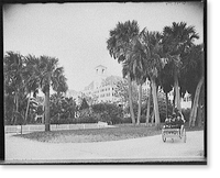 Historic Landscape - Palm Beach, Florida - S.W. view, Royal Poinciana