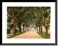 Historic Framed Print, South Walk Dorchester England,  17-7/8" x 21-7/8"