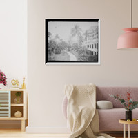 Florence Walton - 4, Historic Print