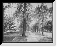 Historic Framed Print, [Delaware Ave., Buffalo, N.Y.] - 2,  17-7/8" x 21-7/8"