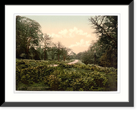 Historic Framed Print, A view near Speech House Forest of Dean England,  17-7/8" x 21-7/8"