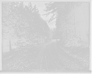 Historic Framed Print, [Hotel Champlain, beautiful green drive in autumn, Bluff Point, N.Y.],  17-7/8" x 21-7/8"