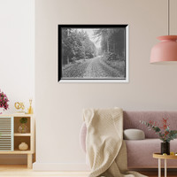 Historic Framed Print, [Hotel Champlain, beautiful green drive in autumn, Bluff Point, N.Y.],  17-7/8" x 21-7/8"