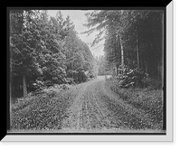 Historic Framed Print, [Hotel Champlain, beautiful green drive in autumn, Bluff Point, N.Y.],  17-7/8" x 21-7/8"