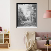 Historic Framed Print, [Bluff Point, N.Y., Hotel Champlain, birches and pines, Green Drive],  17-7/8" x 21-7/8"