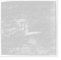 Historic Framed Print, Prairie dog at Prairie Dog Town Abilene Kansas 447 miles west of St. Louis Mo.,  17-7/8" x 21-7/8"