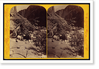 Historic Framed Print, The Redbud,  17-7/8" x 21-7/8"