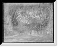 A. Scotti - 4, Antique Print