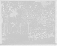 Historic Framed Print, [City Hall Park, Burlington, Vt.],  17-7/8" x 21-7/8"