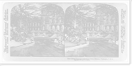 Historic Framed Print, Snow-laden trees and Congressional Library entrance Washington D.C.,  17-7/8" x 21-7/8"