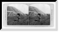 Historic Framed Print, The dwarf with his heavy load on a mountain road Japan,  17-7/8" x 21-7/8"