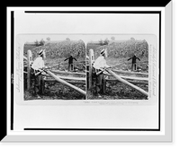 Historic Framed Print, Jinks! I could a sworn I saw a leetle darkey in the melon-patch,  17-7/8" x 21-7/8"
