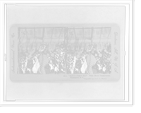 Historic Framed Print, Shall I or Shall I Not?  White House conservatory Washington D.C.,  17-7/8" x 21-7/8"