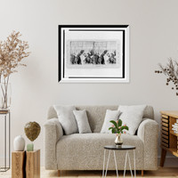 Historic Framed Print, Shall I or Shall I Not?  White House conservatory Washington D.C.,  17-7/8" x 21-7/8"