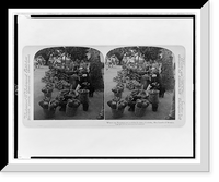 Historic Framed Print, Where 100 bananas are sold for 8 cents Cordoba hot lands of Mexico,  17-7/8" x 21-7/8"