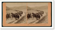 Historic Framed Print, Russian pilgrims on the way to Jericho Palestine,  17-7/8" x 21-7/8"