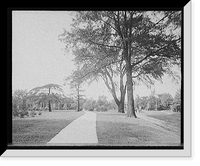 Historic Framed Print, [Western Boulevard, Detroit, Mich.] - 2,  17-7/8" x 21-7/8"