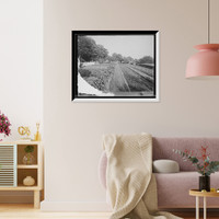 Historic Framed Print, [The Kitchen garden, Mt. Vernon, Va.],  17-7/8" x 21-7/8"