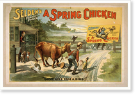 Historic Framed Print, Seldens funny farce A spring chicken - 3,  17-7/8" x 21-7/8"