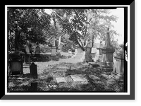 Historic Architecture - Florence vicinity, Alabama - Forks of Cypress (5)