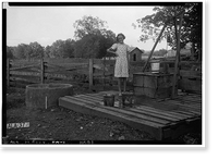 Taylor-Cunningham House (first), Bellevue Road, Rogersville vicinity, Lauderdale County, AL - 9 Classic, Vintage Print