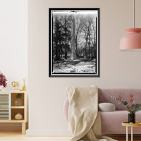 General Joseph Wheeler House, State Highway 20, Wheeler, Lawrence County, AL - 16, Vintage Print