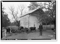 Cedar Grove, Uniontown Road, Faunsdale vicinity, Marengo County, AL - 33, Vintage Print