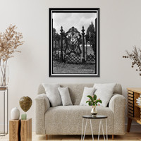 Historic Framed Print, Magnolia Cemetery (Ironwork), Virginia Street, Mobile, Mobile County, AL - 18,  17-7/8" x 21-7/8"