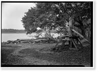 Old Boat Repair Yard, Fowl River, Mon Louis Island, Mobile County, AL, Vintage Print
