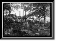 Thornhill, State Road 21, Talladega vicinity, Talladega County, AL - 7, Antique Print