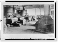 U. S. Branch Mint, Mission & Fifth Streets, San Francisco, San Francisco County, CA - 28, Historic Print