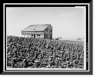 Historic Framed Print, James Johnston House, Higgins Road, Half Moon Bay, San Mateo County, CA - 2,  17-7/8" x 21-7/8"