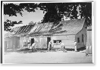 Pena Adobe, Pena Adobe Road, Vacaville, Solano County, CA, Antique Print