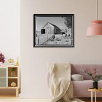 Antique Architecture - Petaluma, California - Schlake Ranch, New Barn