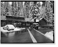 Camp Kaweah Historic District, Giant Forest Market, Giant Forest Village, Tulare County, CA, Antique Poster