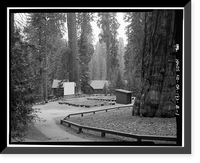Giant Forest Lodge Historic District, Amphitheater, Three Rivers vicinity, Tulare County, CA, Antique Poster
