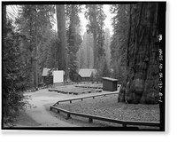 Giant Forest Lodge Historic District, Amphitheater, Three Rivers vicinity, Tulare County, CA, Antique Poster