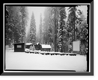 Giant Forest Lodge Historic District, Amphitheater, Three Rivers vicinity, Tulare County, CA - 2, Historic Print