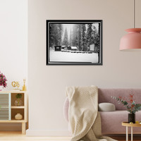 Giant Forest Lodge Historic District, Amphitheater, Three Rivers vicinity, Tulare County, CA - 2, Historic Print