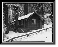 Giant Forest Lodge Historic District, Cabin No. 22, Three Rivers vicinity, Tulare County, CA, Antique Poster