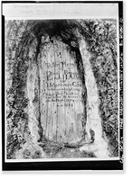 Carved Tree Marker, Tragedy Spring (historical), Amador County, CA, Vintage Wall Art