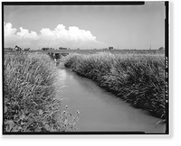 Brantner Ditch, South Platte River, Brighton vicinity, Adams County, CO - 6 Classic, Antique Wall Art